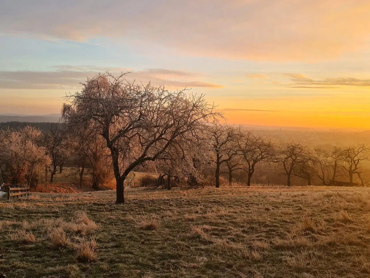 1000048553-scaled-1-_2_